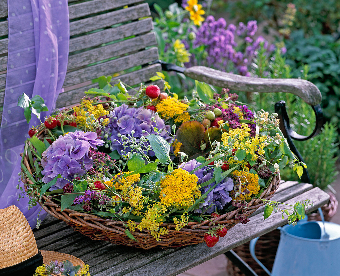 Hydrangea / Hortensien, Alchemilla / Frauenmantel