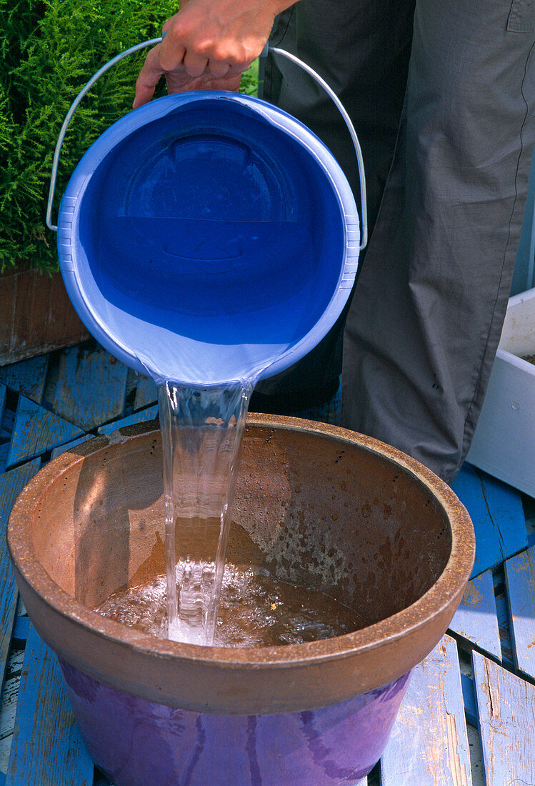 Create a water-plant balcony