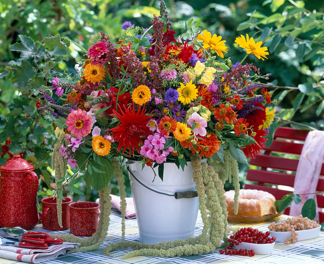 Dahlia, Calendula (Marigold)