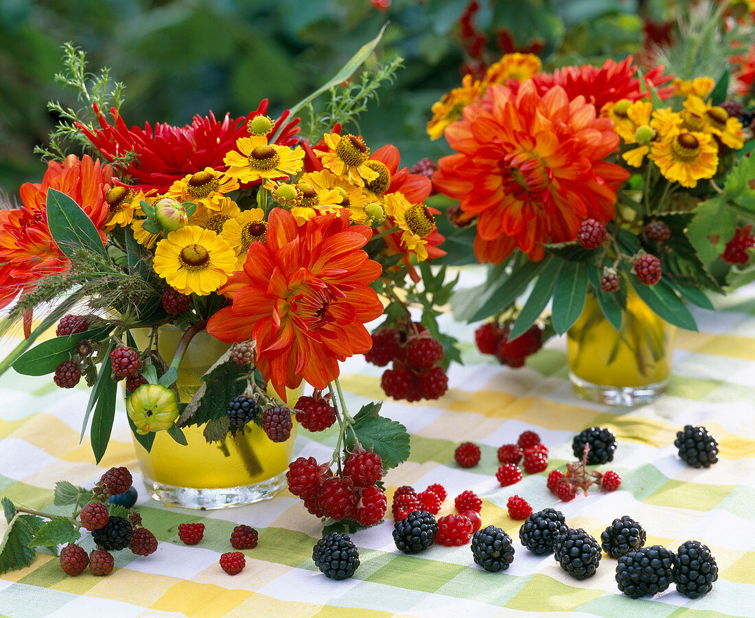 Dahlia (Dahlias), Helenium (Sunflower)