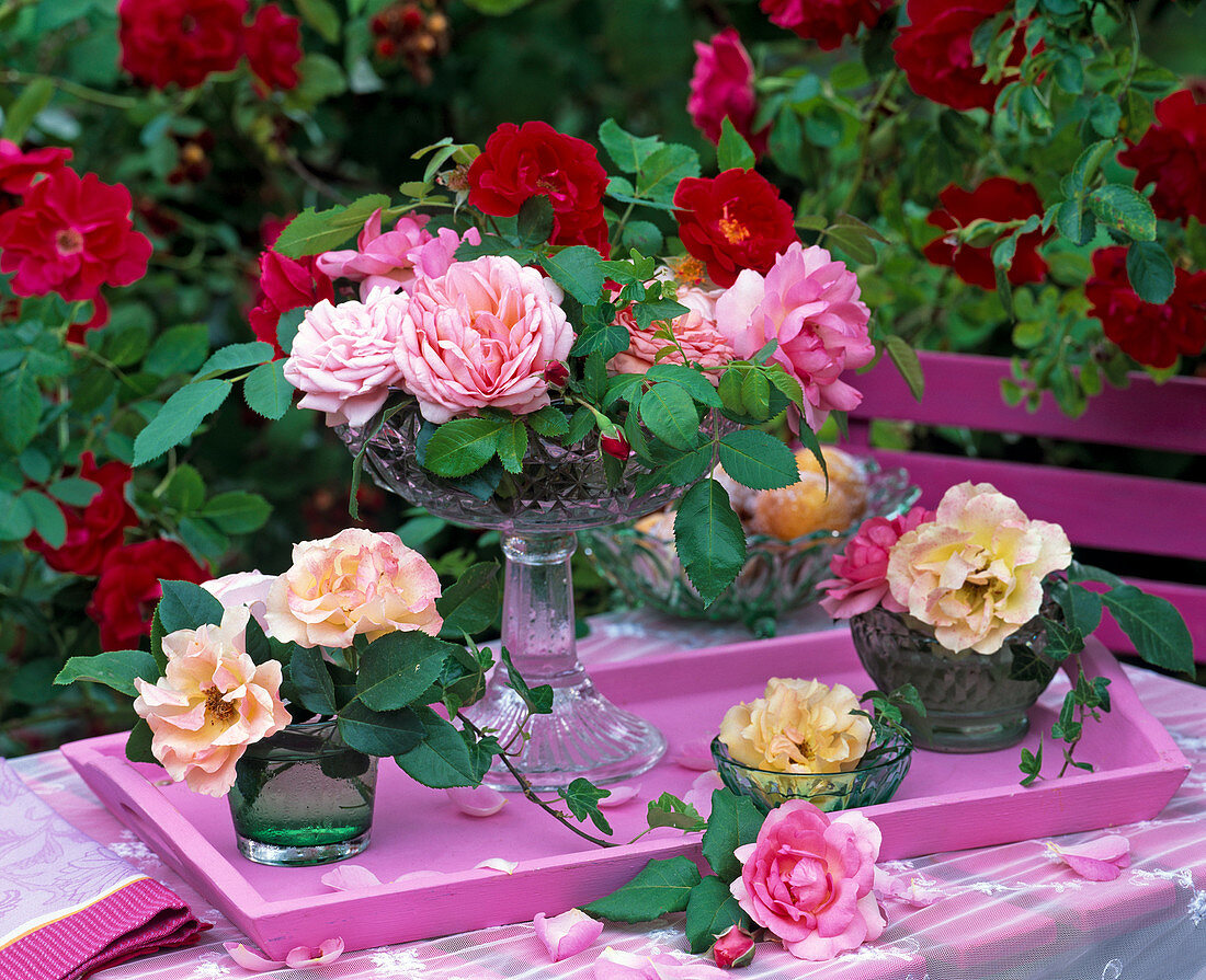 Pink (Roses) in crystal bowl