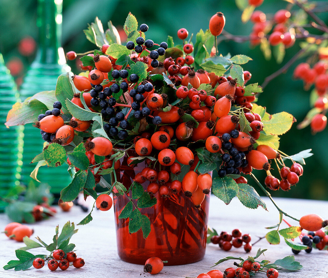 Rosa (Hagebutten), Cornus (Hartriegel), Crataegus (Weißdorn) im roten Glas