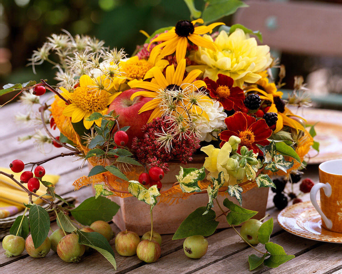 Rudbeckia / Sonnenhut, Dahlia / Dahlie, Rubus / Brombeeren