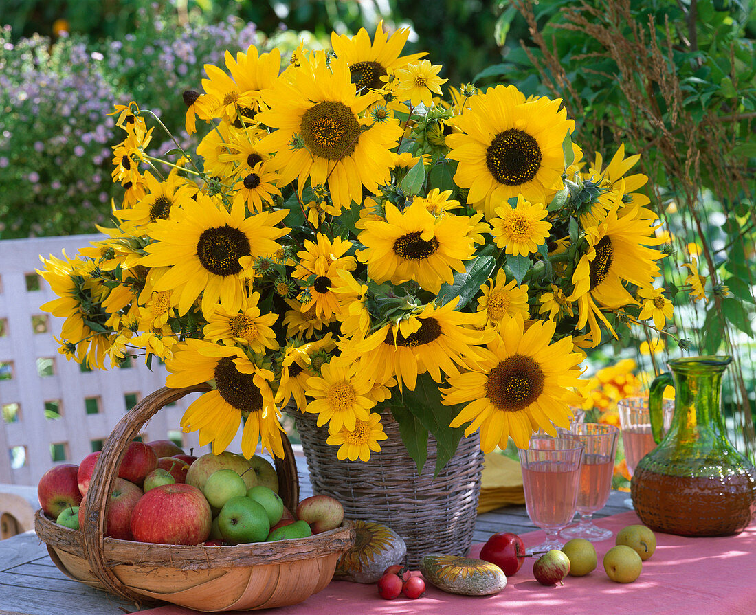 Helianthus Sunflowers, Rudbeckia Sunhat, Malus Apples, Pyrus Pears