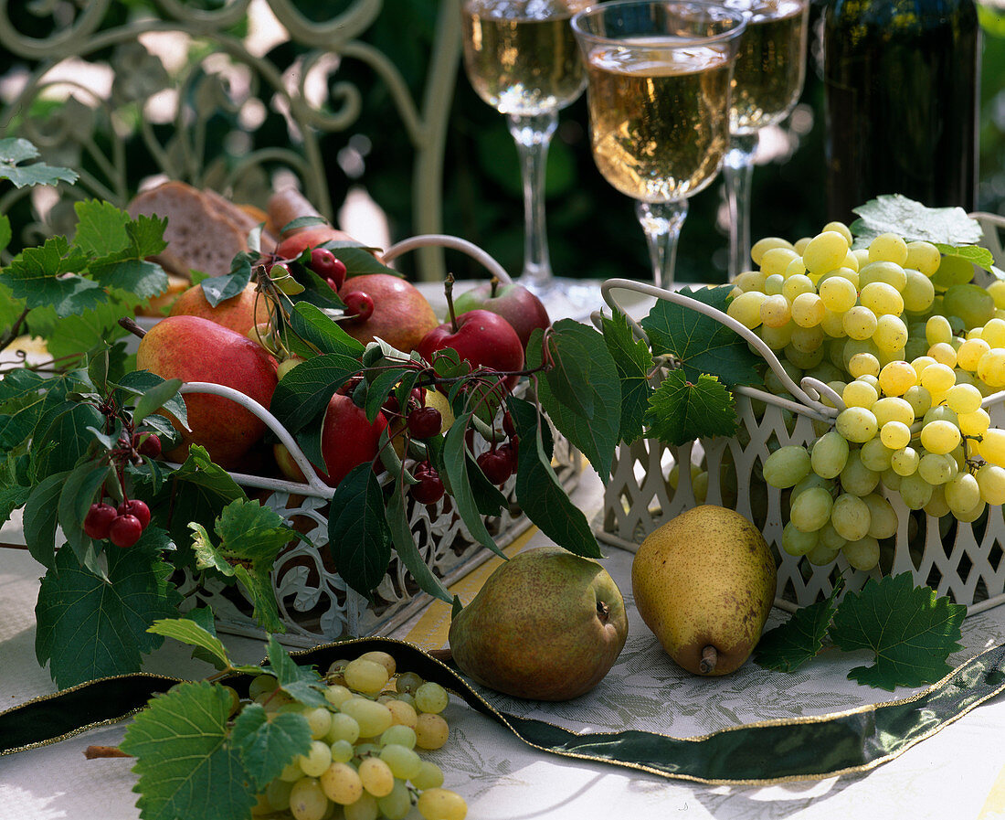 Vitis (grapes), Pyrus (pears)