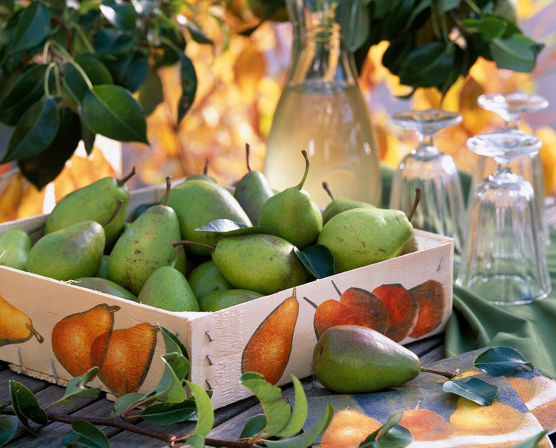 Pyrus / Birnen in Holzkiste mit Serviettendeko