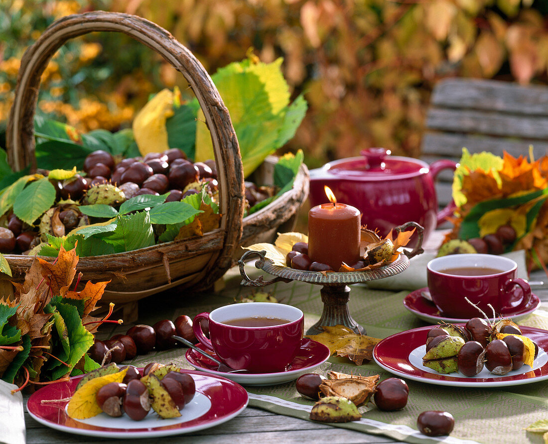 Table decoration: Aesculus hippocastanum (chestnuts) in a basket and as mini wreaths on the tables