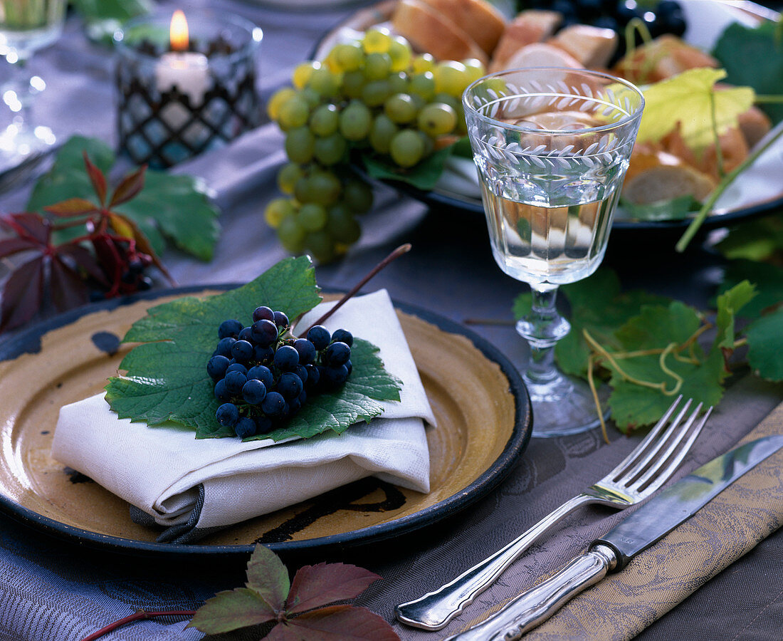 Vitis (vine leaves, grapes, parthenocissus) (wild wine), wine glass