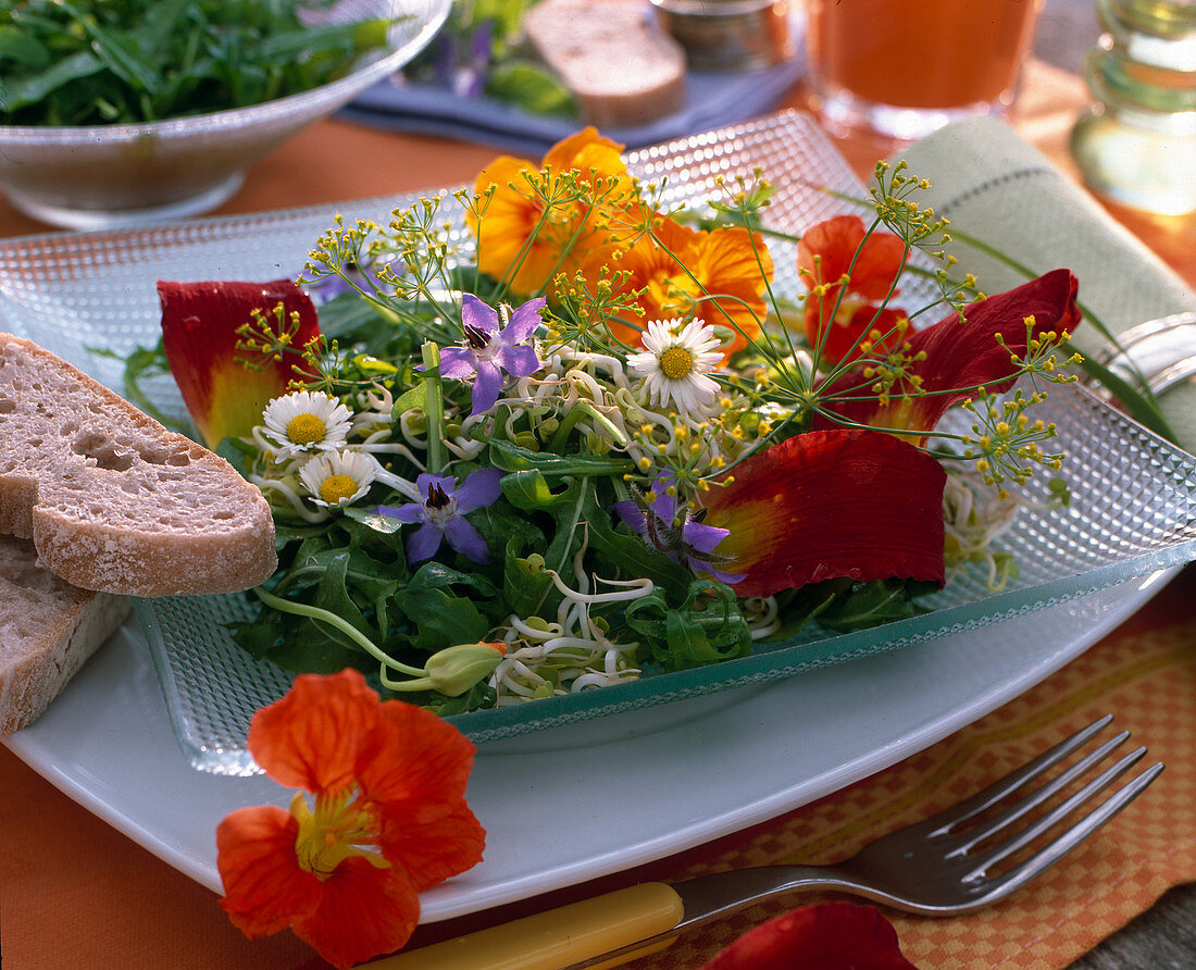 Rocket sprout salad with Tropaeolum