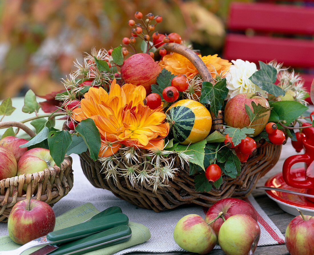 Dahlia / Dahlien, Malus / Äpfel, Rosa / Hagebutten, Clematis / Waldrebe, Hedera