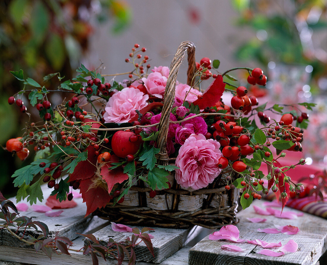 Birkenkorb mit Rosa / Rosen und Hagebutten, Crataegus / Weißdorn, Clematis / Wal