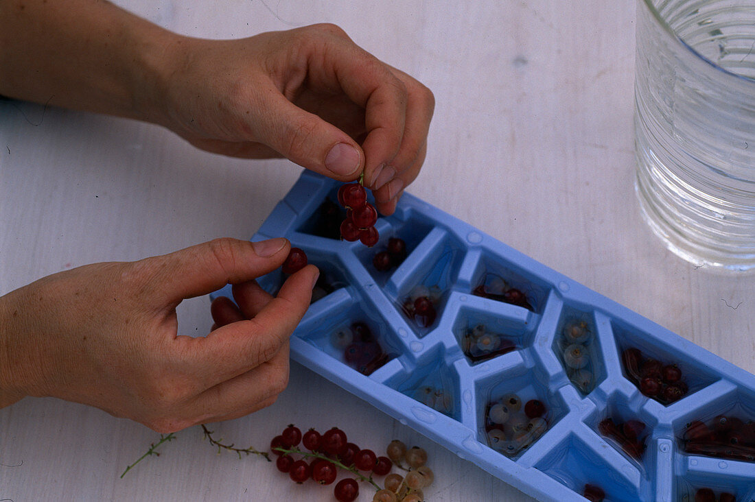 Berries Ice cubes