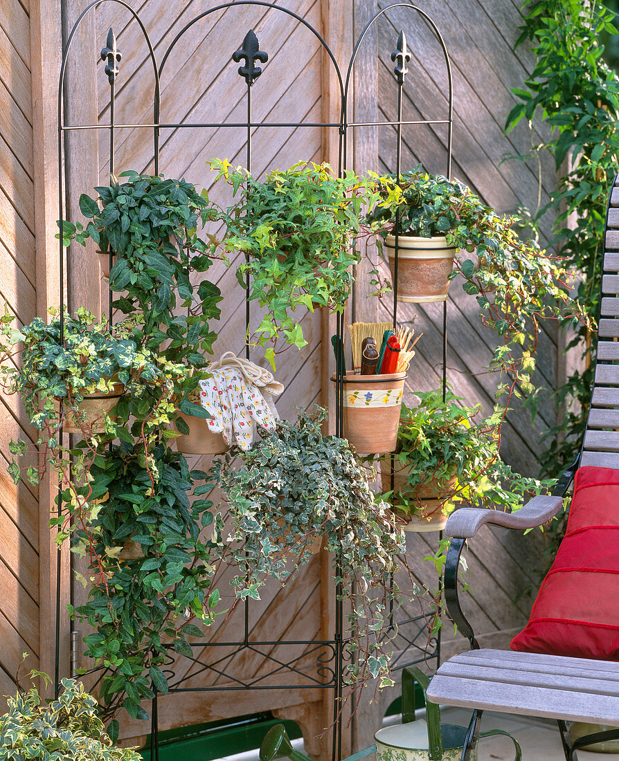 Screen with Hedera 'My Heart', 'Golden Star'