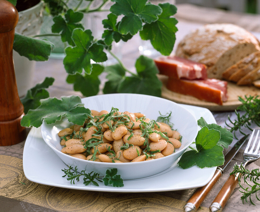 Bohnensalat mit Pelargonium tomentosum (Pfefferminzgeranie)