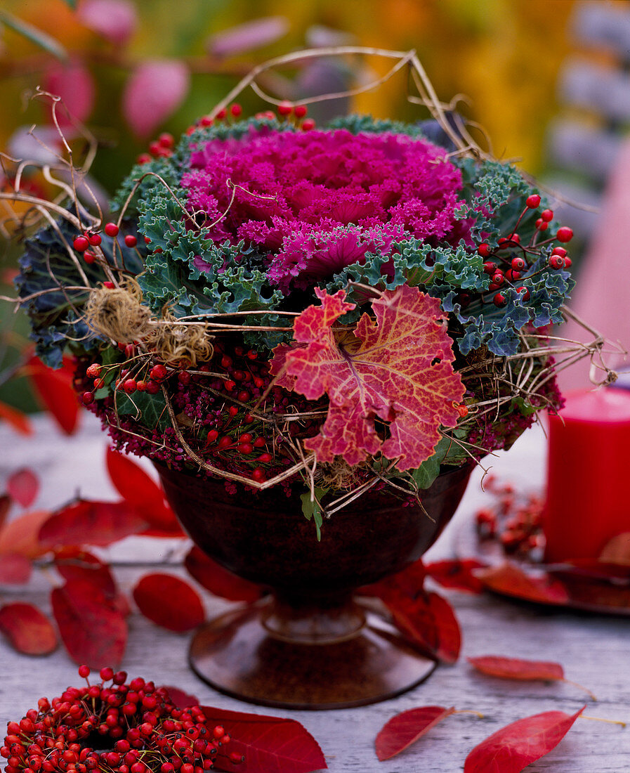 Brassica (Zierkohl), Rosa (Hagebutten), Vitis (Weinlaub), Erica (Heide), Clematis