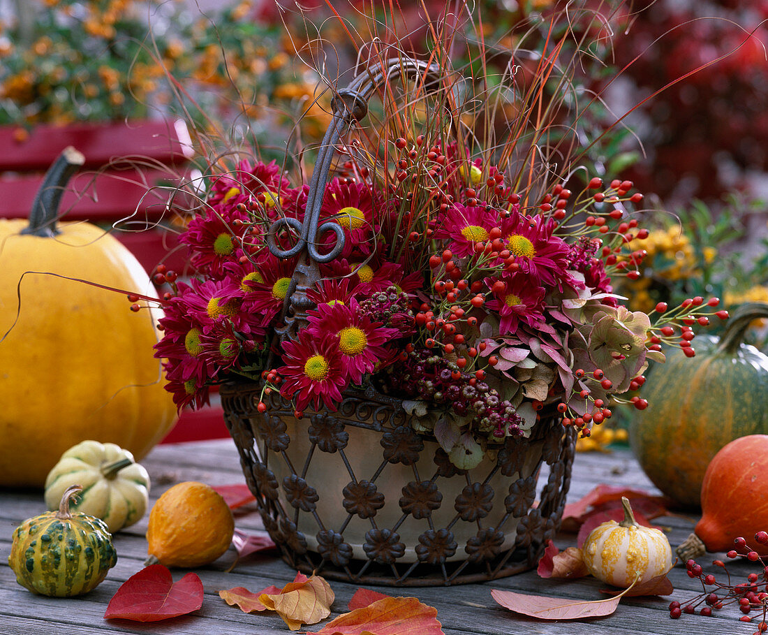 Gesteck in Metallkorb: Chrysanthemum, Rosa (Hagebutten), Phytolacca (Kermesbeeren)