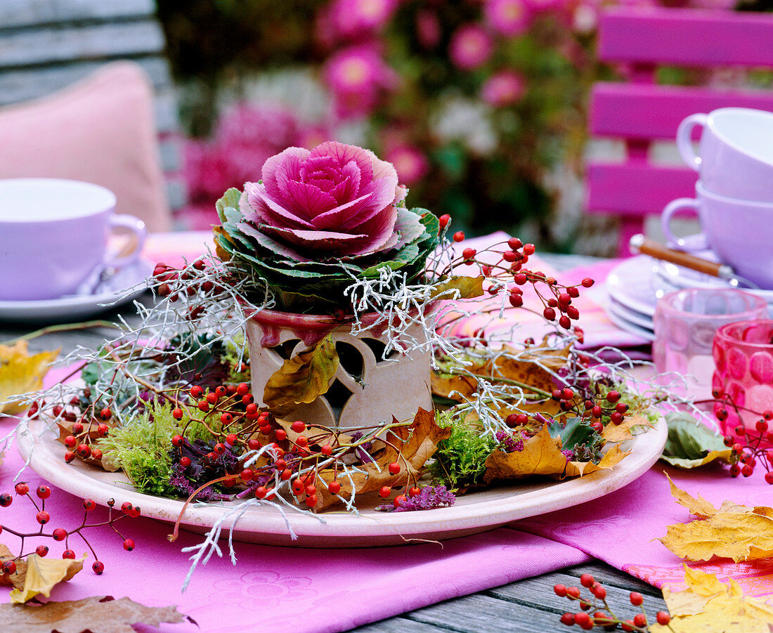 Brassica (Zierkohl), Rosa (Hagebutten), Calocephalus (Stacheldraht), Fagus (Buche)