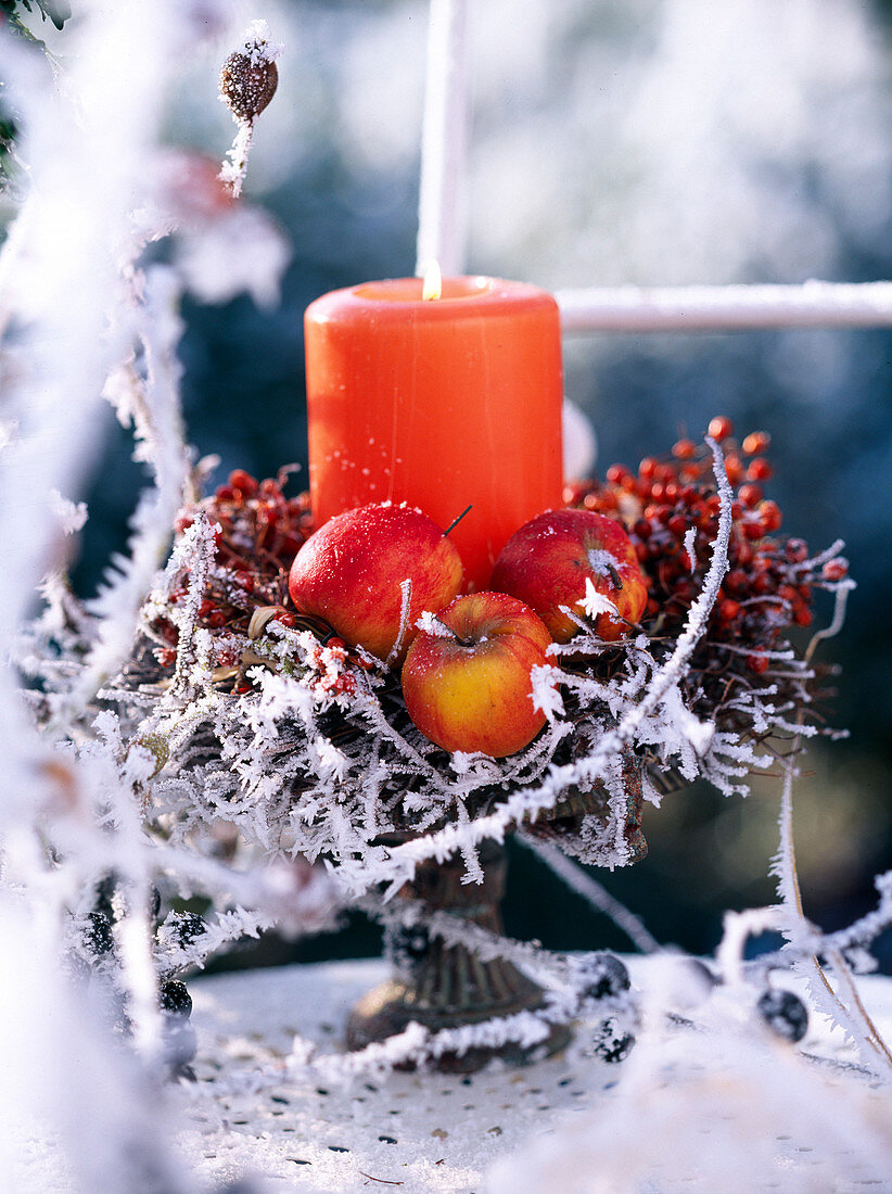 Malus (apples), Rosa (rose hips), twigs as candle decoration, bowl with foot