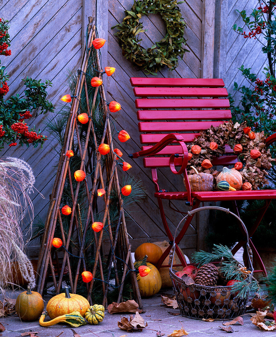 Cucurbita (pumpkins), Pinus (pine) and cones, Physalis (lanterns), Viscum (mistletoe wreath)