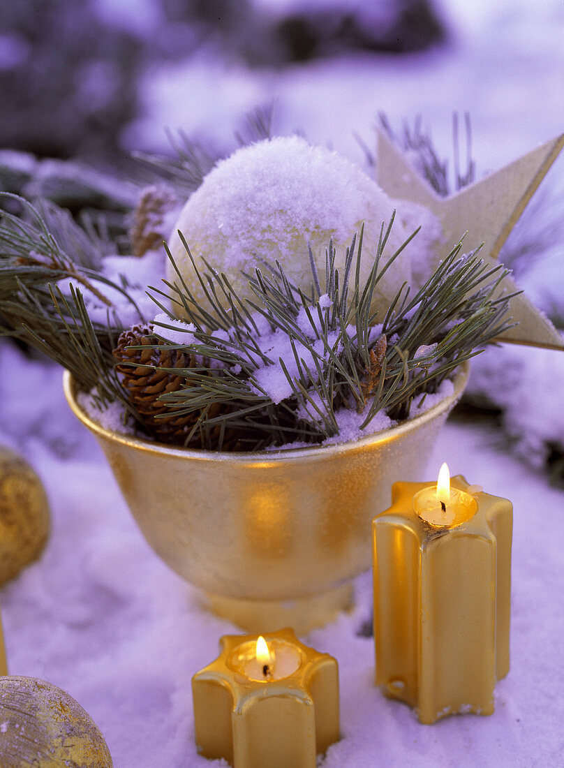 Goldschale mit Pinus (Kiefernzweigen), Stern und Kugel, Kerzen in Sternform