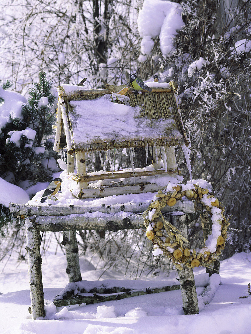 Birdhouse with icicles and wreath of birdseed