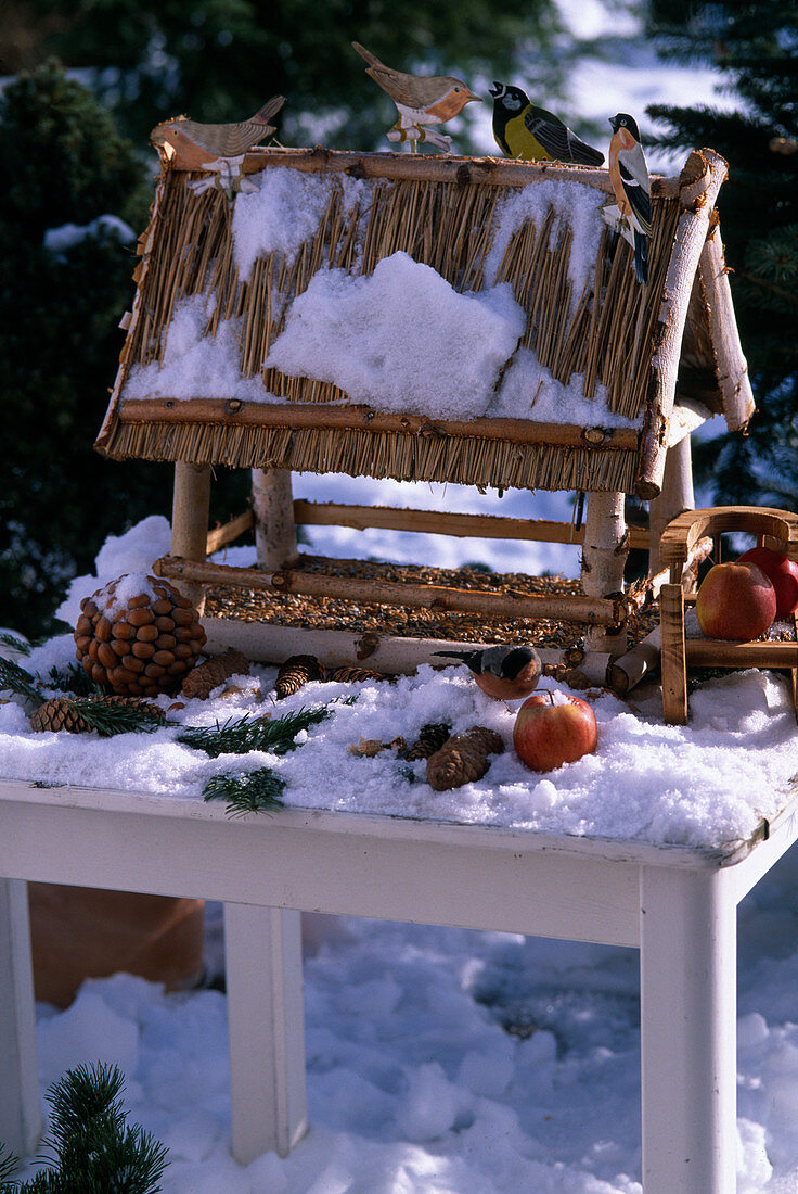 Birdhouse in the winter