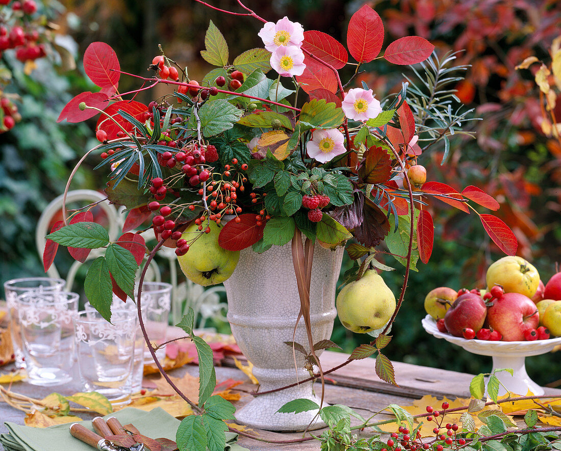 Rubus (raspberries), blackberry vines, Amelanchier (rock pear), Rosa (rose hips)