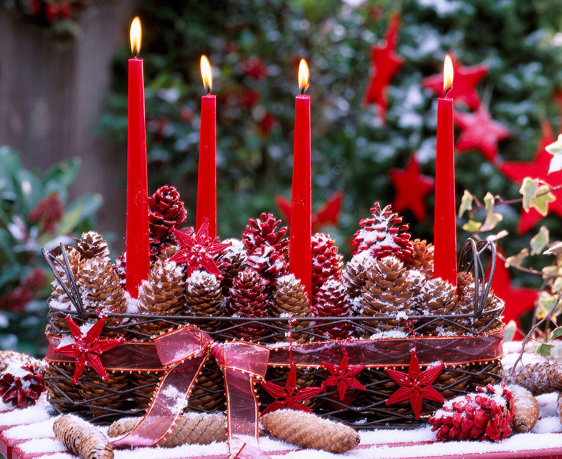 Metal basket with Picea (spruce cones)