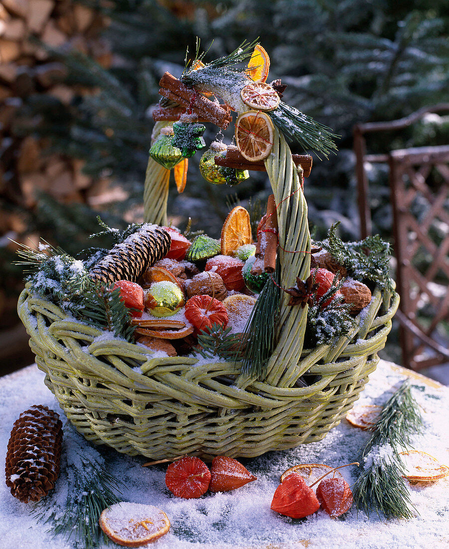 Basket with Pinus (silk pine), Picea (spruce cones), Physalis (lanterns)
