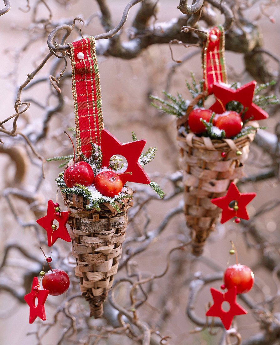 Betula birch baskets hung on Corylus corkscrew hazel, Malus ornamental apples