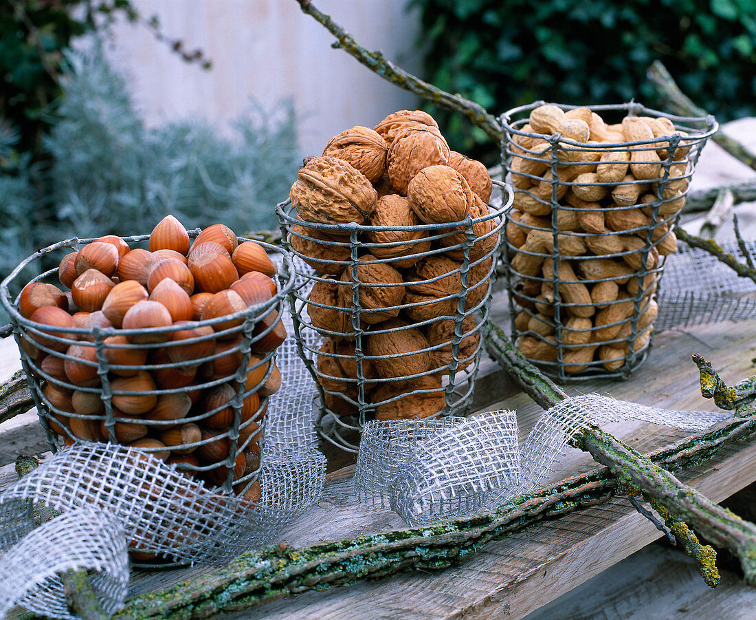 Wire baskets filled with hazelnuts, walnuts and peanuts