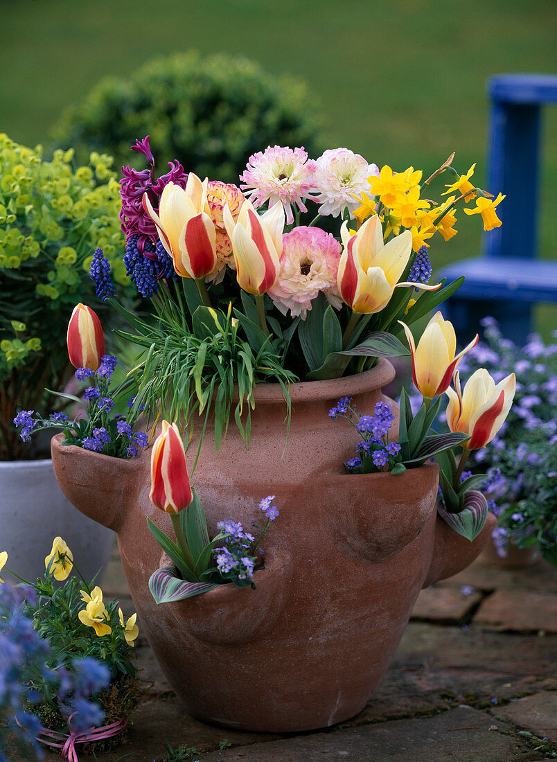 Pocket amphora (strawberry pot) with Tulipa (tulips)