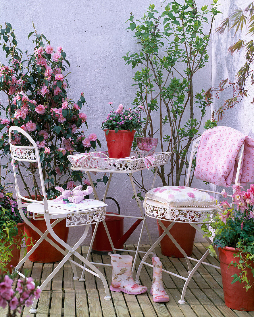 Camellia japonica (camellia), Syringa (lilac)