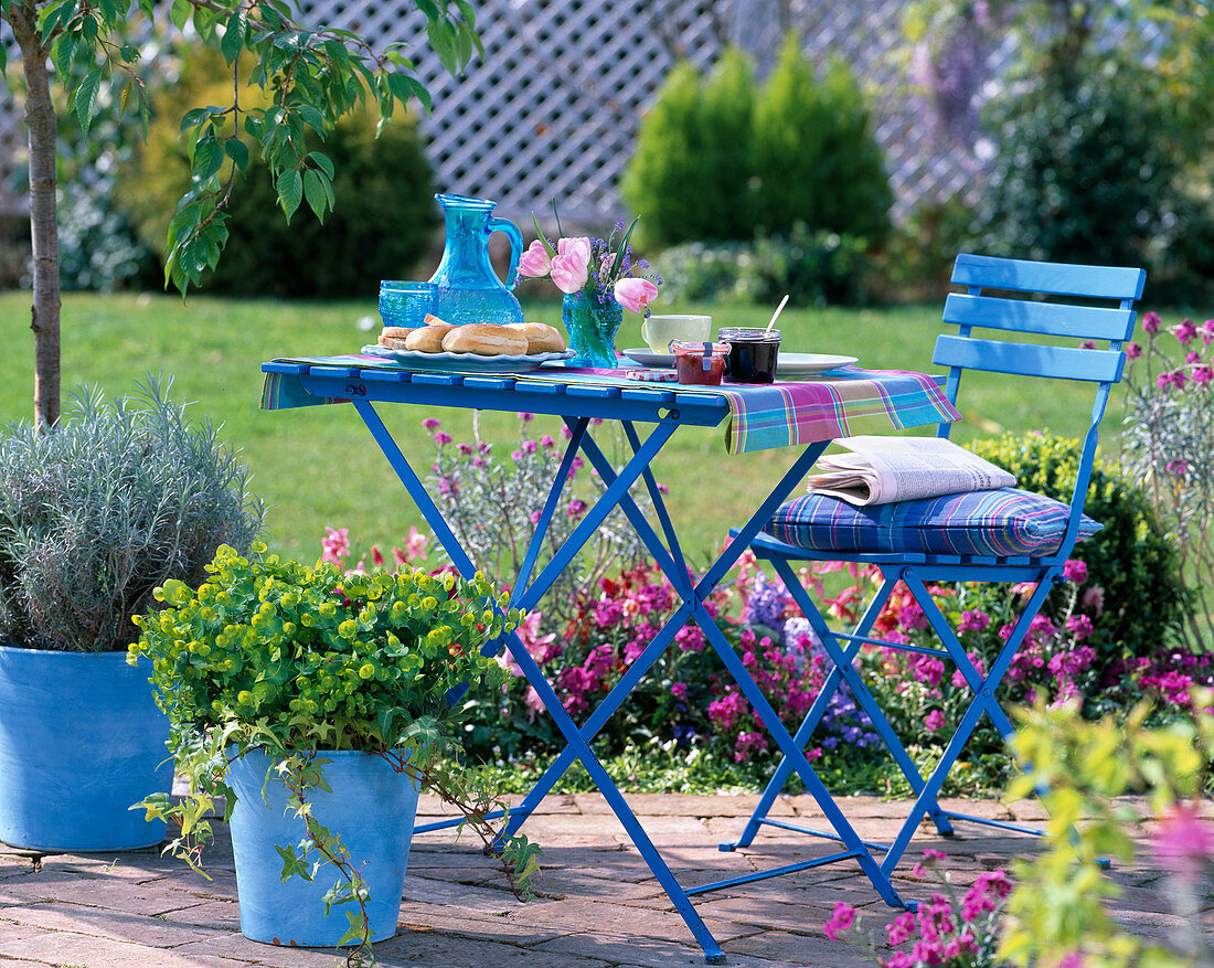 Breakfast table: Euphorbia (spurge), Hedera (ivy)