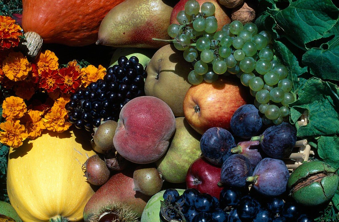 Fruit and vegetable arrangement
