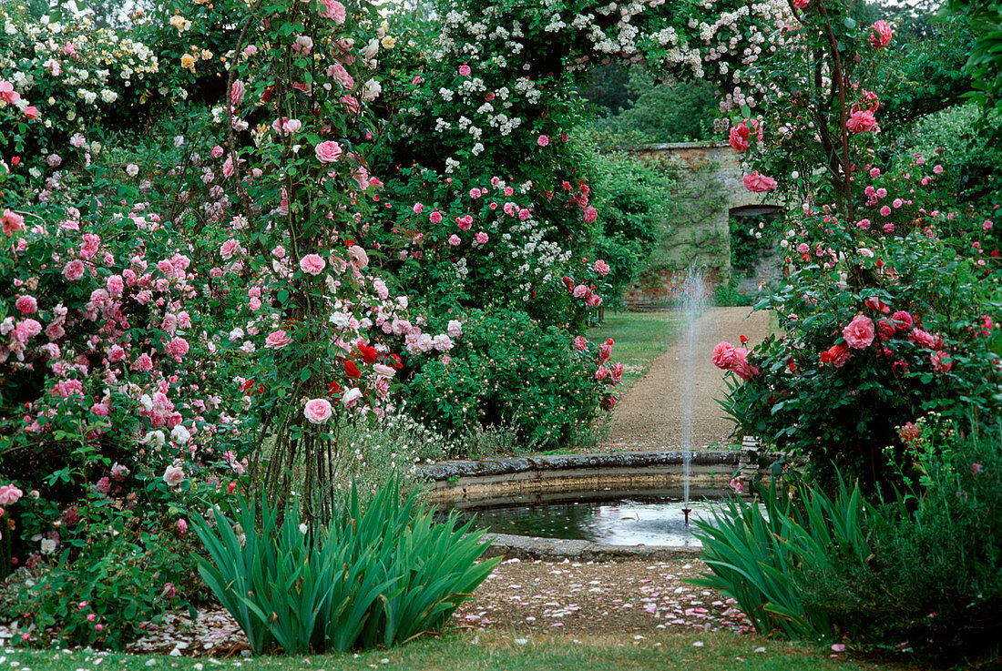 Rose garden with water feature