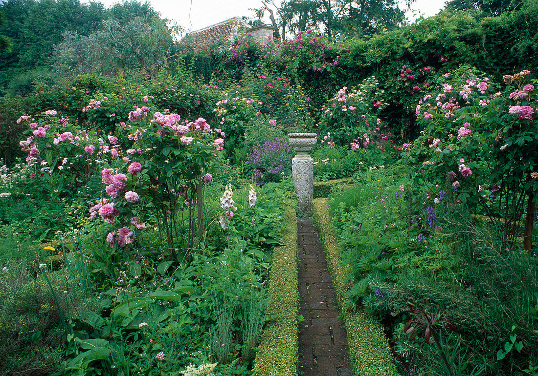 Rosengarten mit Rosa damascena 'Pompon des Princes', 'Isfahan' (Rosen), einmalblühend, starker Duft, in Beeten mit kleinen Hecken von Buxus (Buchs) als Einfassung, Stauden als Begleitung, Steinerne Pflanzschale auf Säule