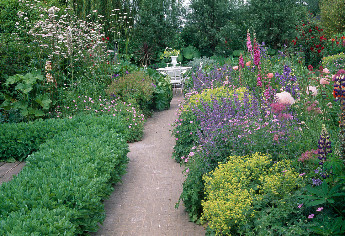 Paved path between perennial beds