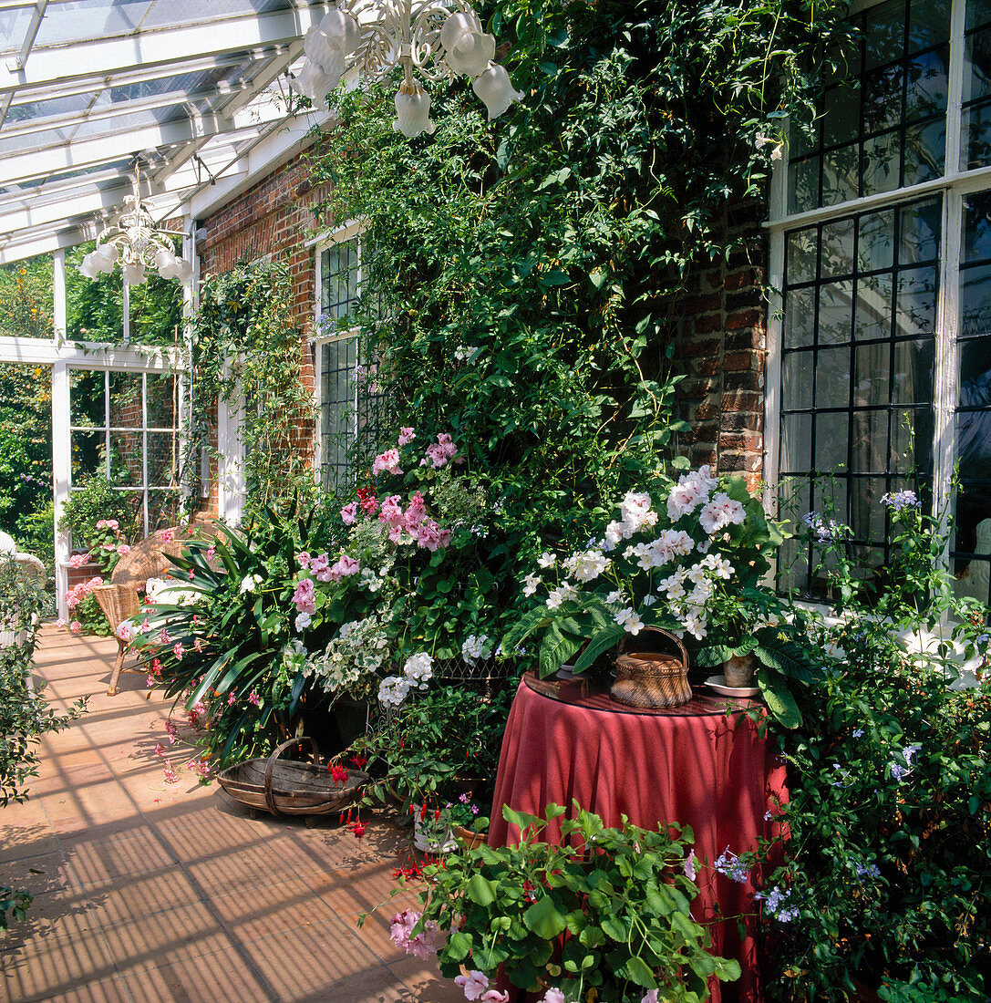 Üppig bepflanzter Wintergarten