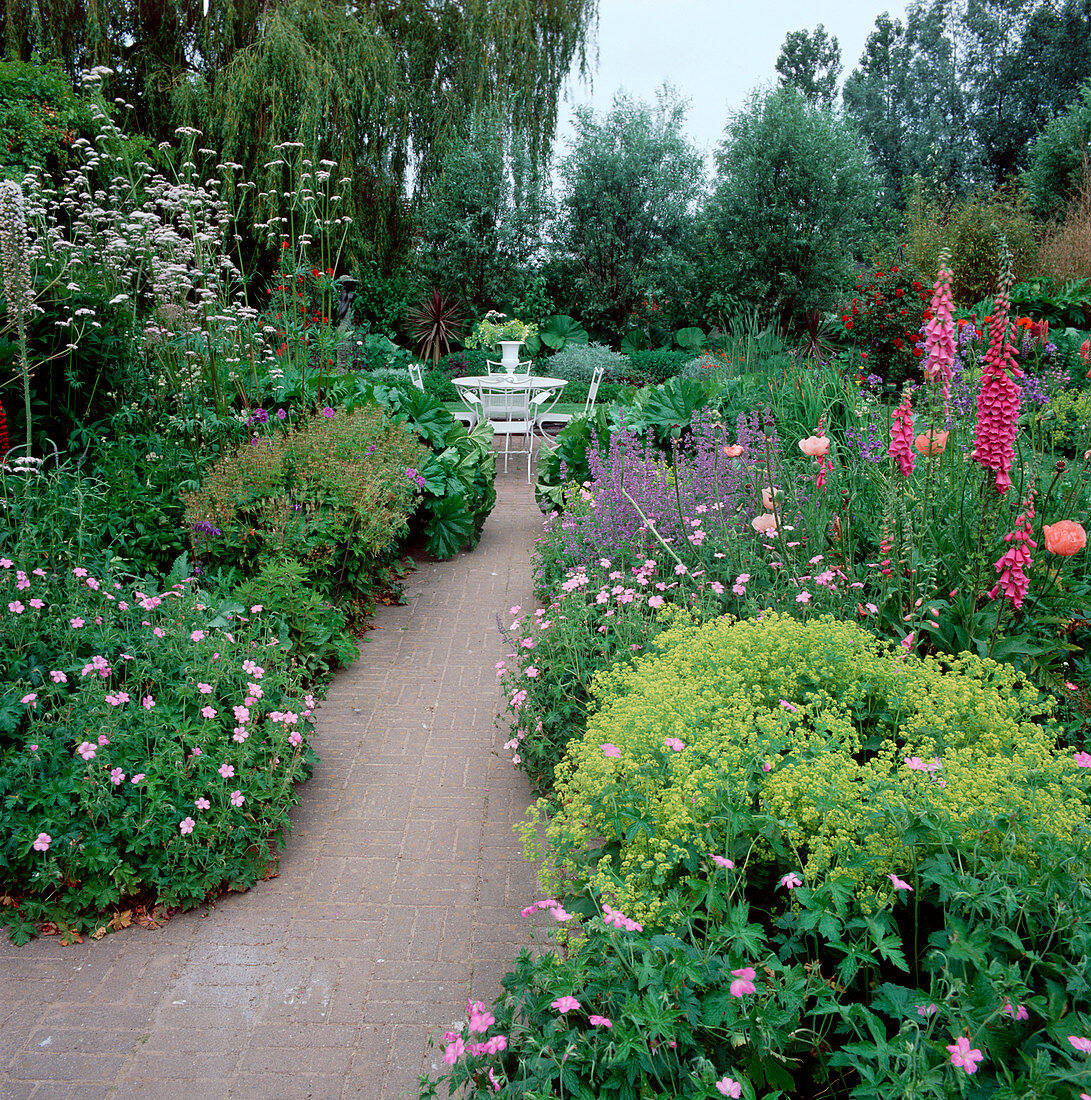 Lush perennial beds with flowering plants along paved pathway