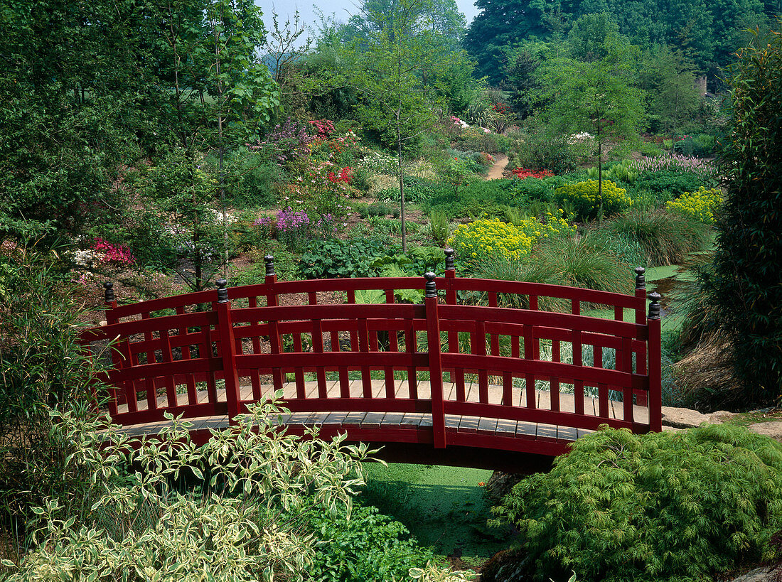 Red bridge in the Japa garden