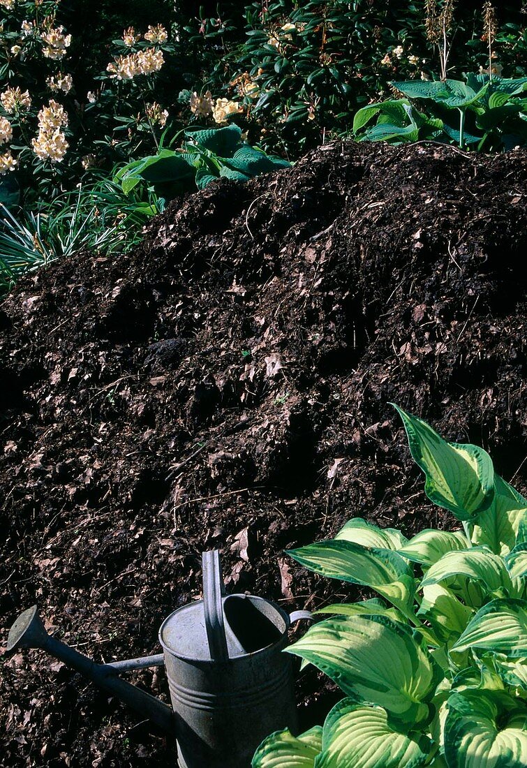 Well rotted compost, watering can