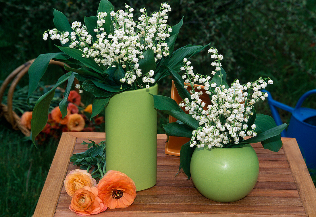Spring arrangement with Convallaria