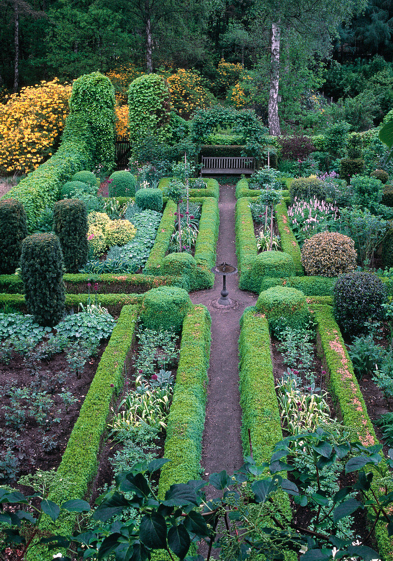 Formeller Garten Buxus, Taxus, Fagus, Ilex, Rhododendron