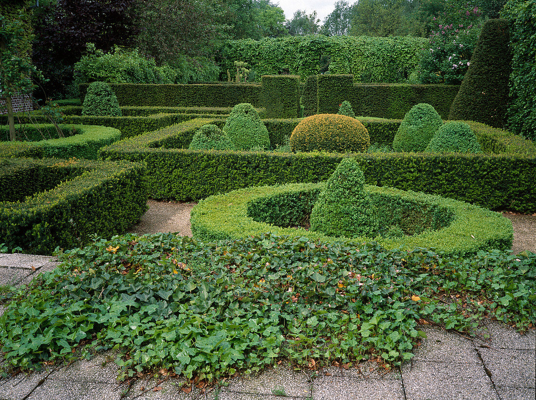 Formaler Garten mit Buxus (Buchs) in verschiedenen Formen, Hedera (Efeu) und Taxus (Eibe)