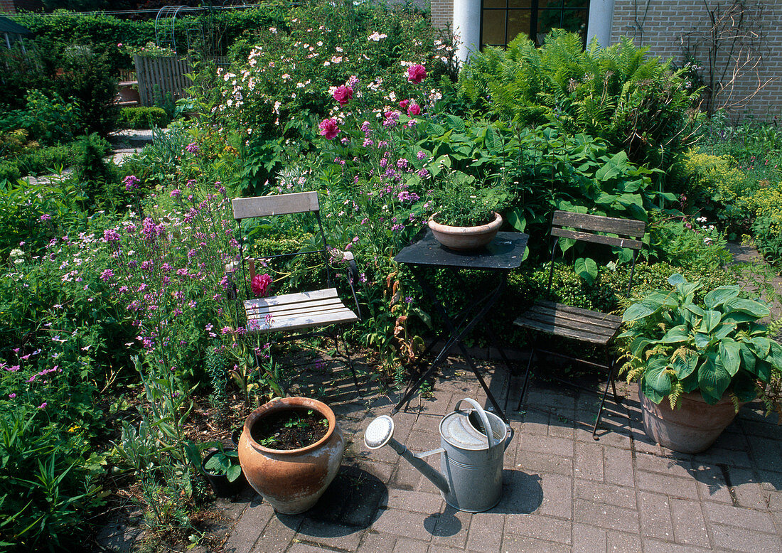 Small sitting area by the flower bed with Paeonia (peonies), Erysimum (golden violet), knotweed, fern and Rosa (rose)