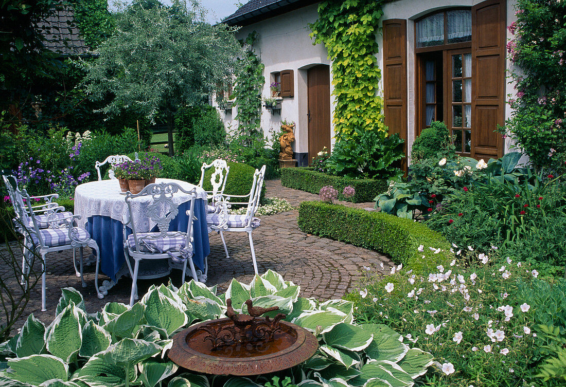 Runde Terrasse mit weißer Sitzgruppe, Beet mit Hosta (Funkien), Geranium (Storchschnabel), Hecke aus Buxus (Buchs), Vogeltränke, Pyrus salicifolia Pendula (Weidenblättrige Birne), Humulus lupulus 'Aureus' (Gold-Hopfen) - am Haus