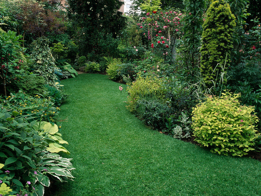 Spiraea Japonica (spirea), Taxus Baccata (columnar yew), Hosta (hosta), Hypericum (St. John's wort), Hedera Helix (ivy), Rosa (roses)