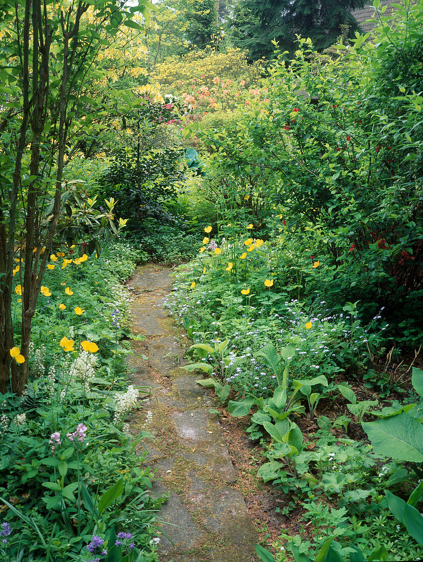 Path in the garden