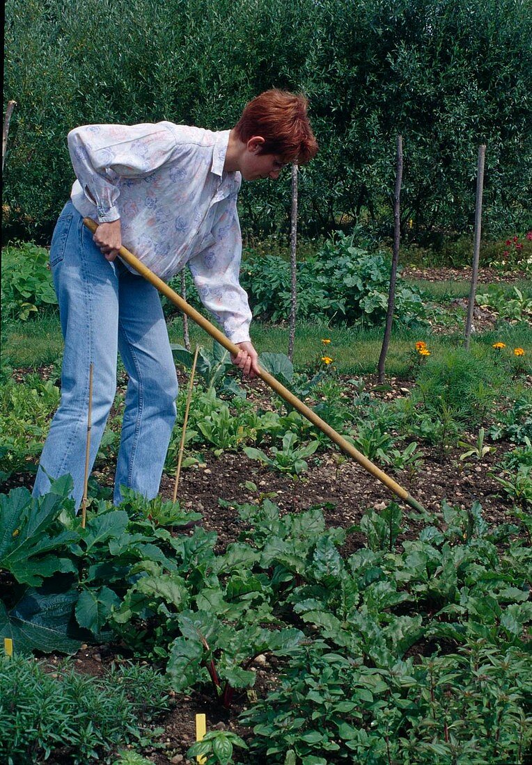Loosen up soil in the vegetable garden
